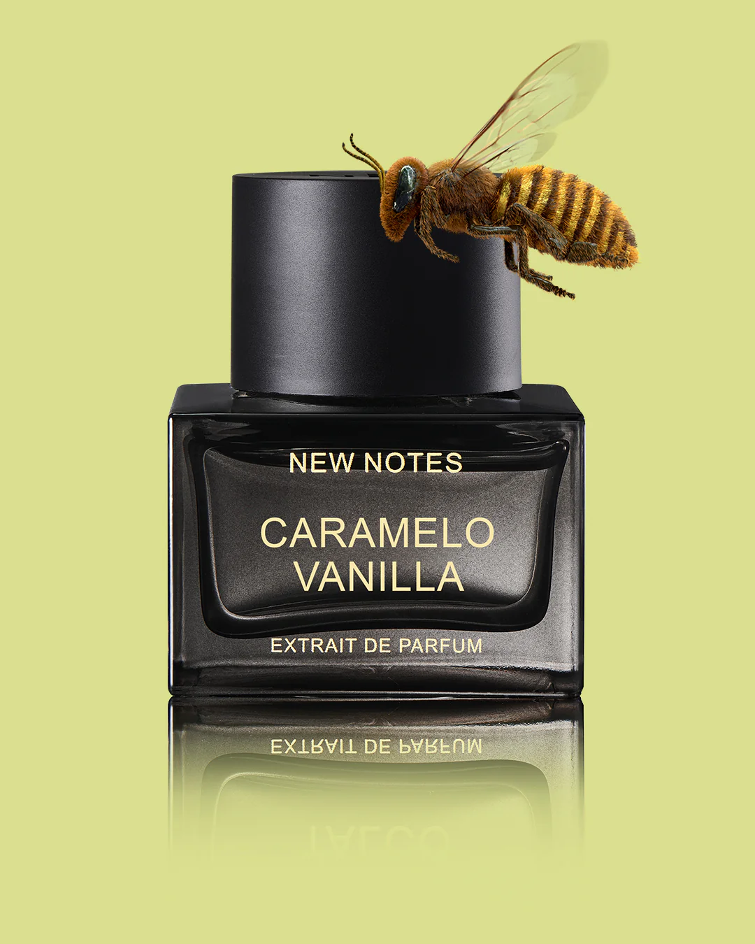 Caramello Vanilla New Notes Extrait De Parfum 50ml - Image 7