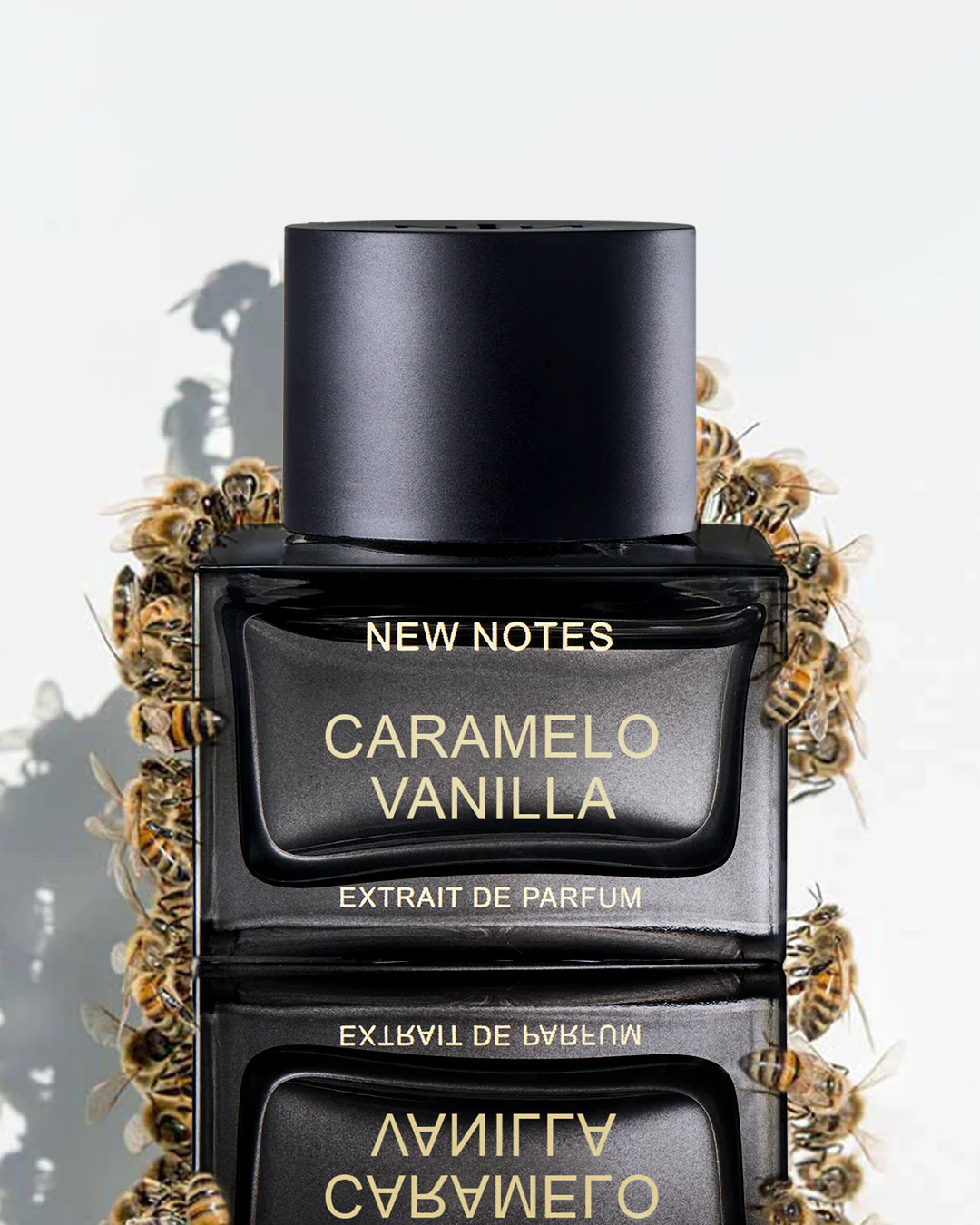 Caramello Vanilla New Notes Extrait De Parfum 50ml - Image 8