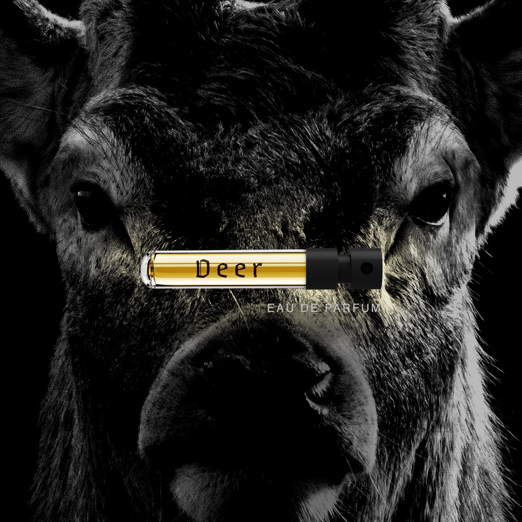 Deer Wild Slavic Fragrance - Eau de Parfum Duftprøve 2ml - Image 4