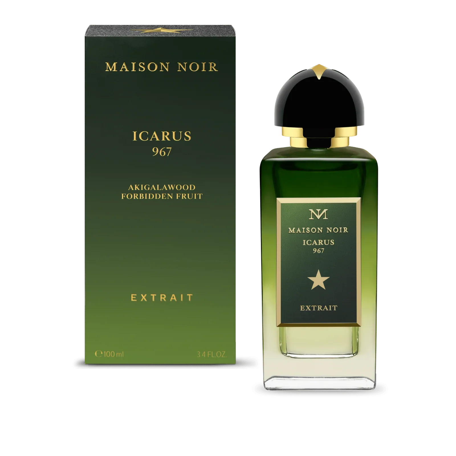 Icarus 347 Maison Noir Extrait de Parfum 100ml - Image 2