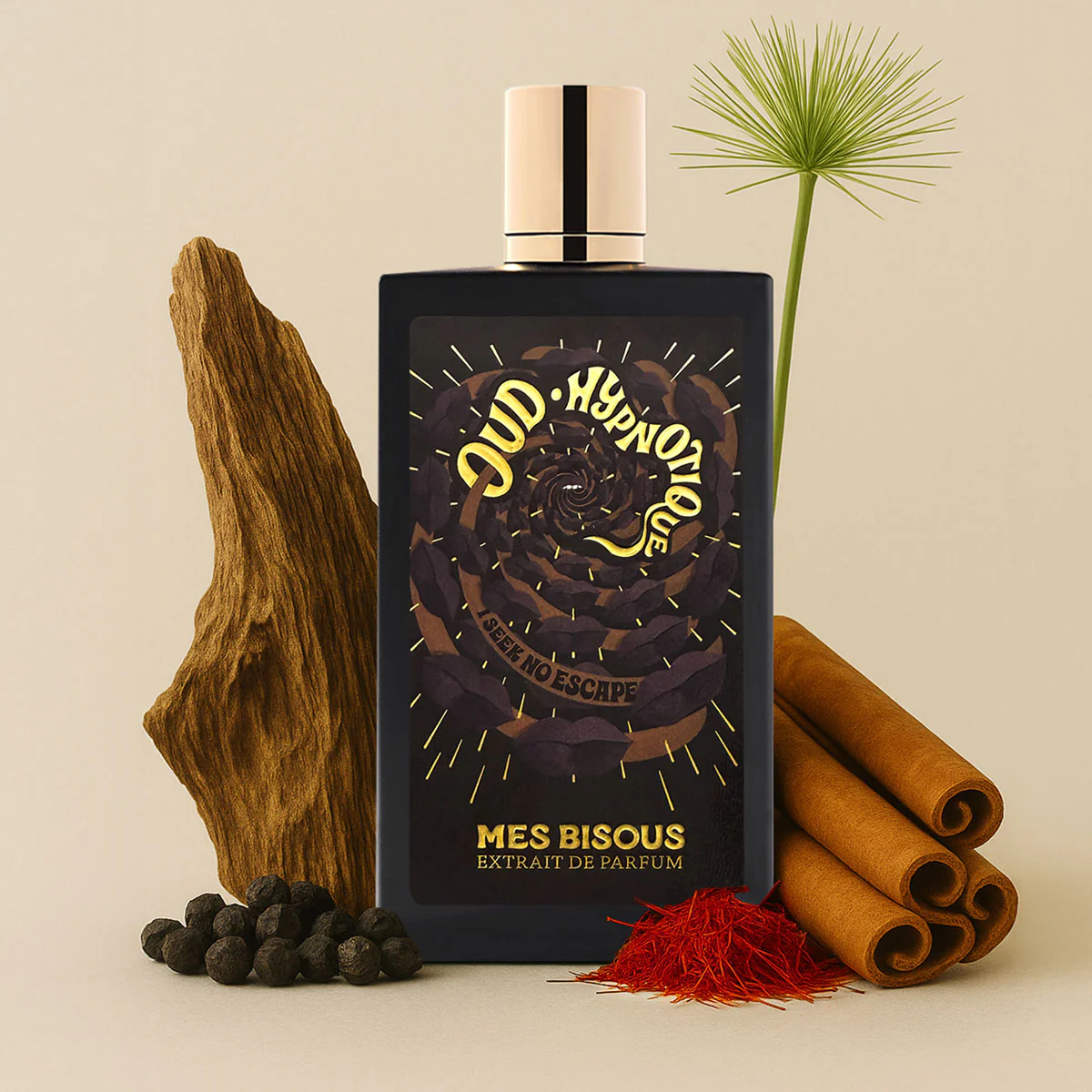 Mes Bisous Oud Hypnotique Extrait de Parfum 100 ml - Image 5