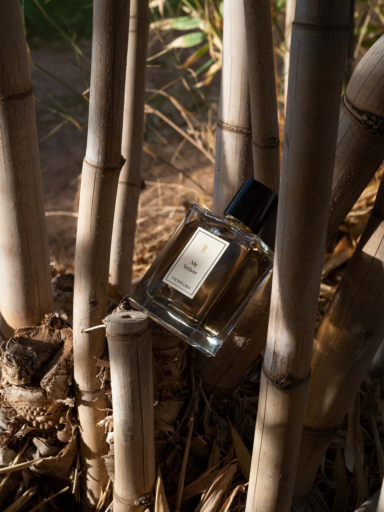 Mr. Vetiver Une Nuit Nomade Eau De Parfum Sample - Image 5