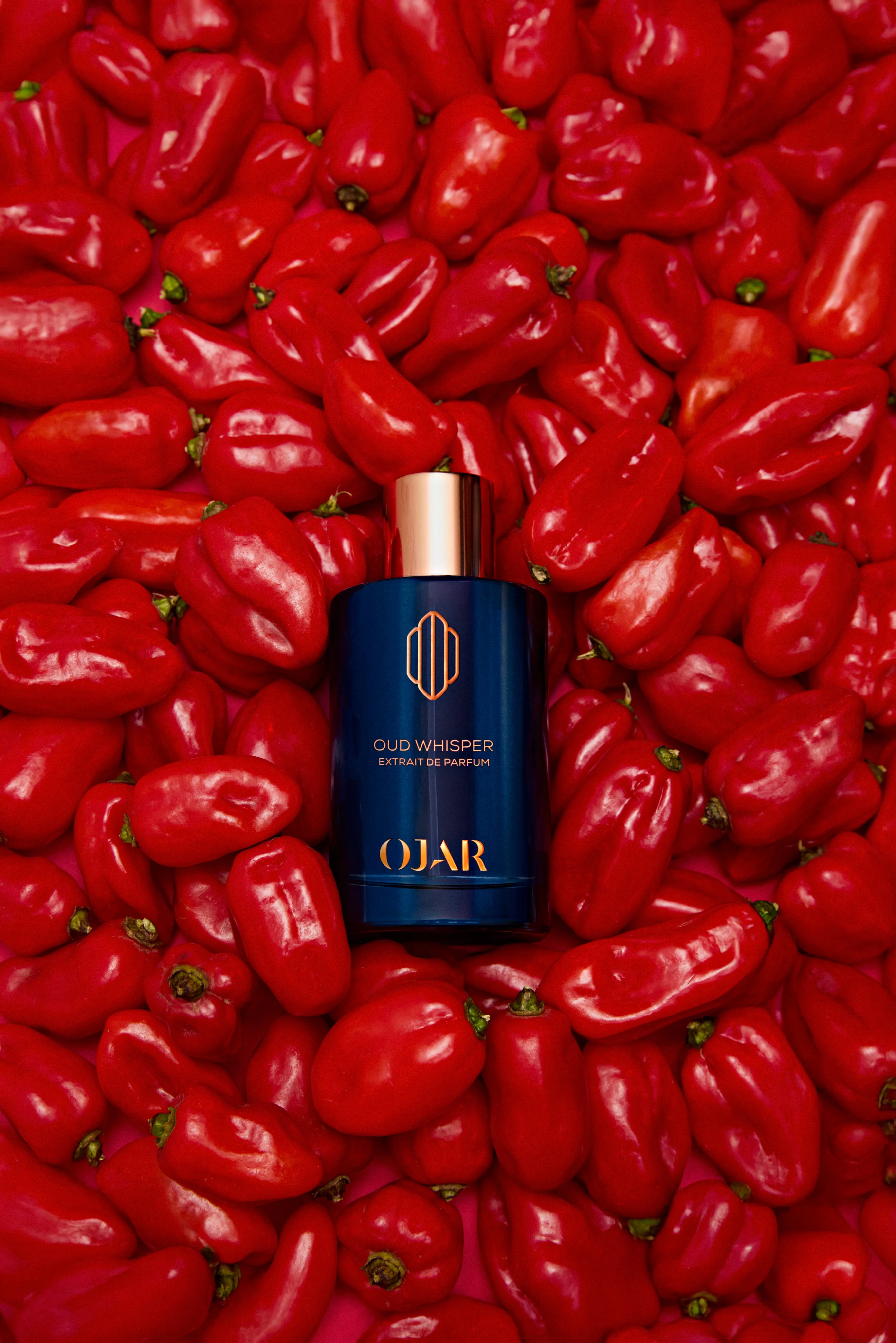 Oud Whisper Ojar Extrait De Parfum 100ml - Image 2