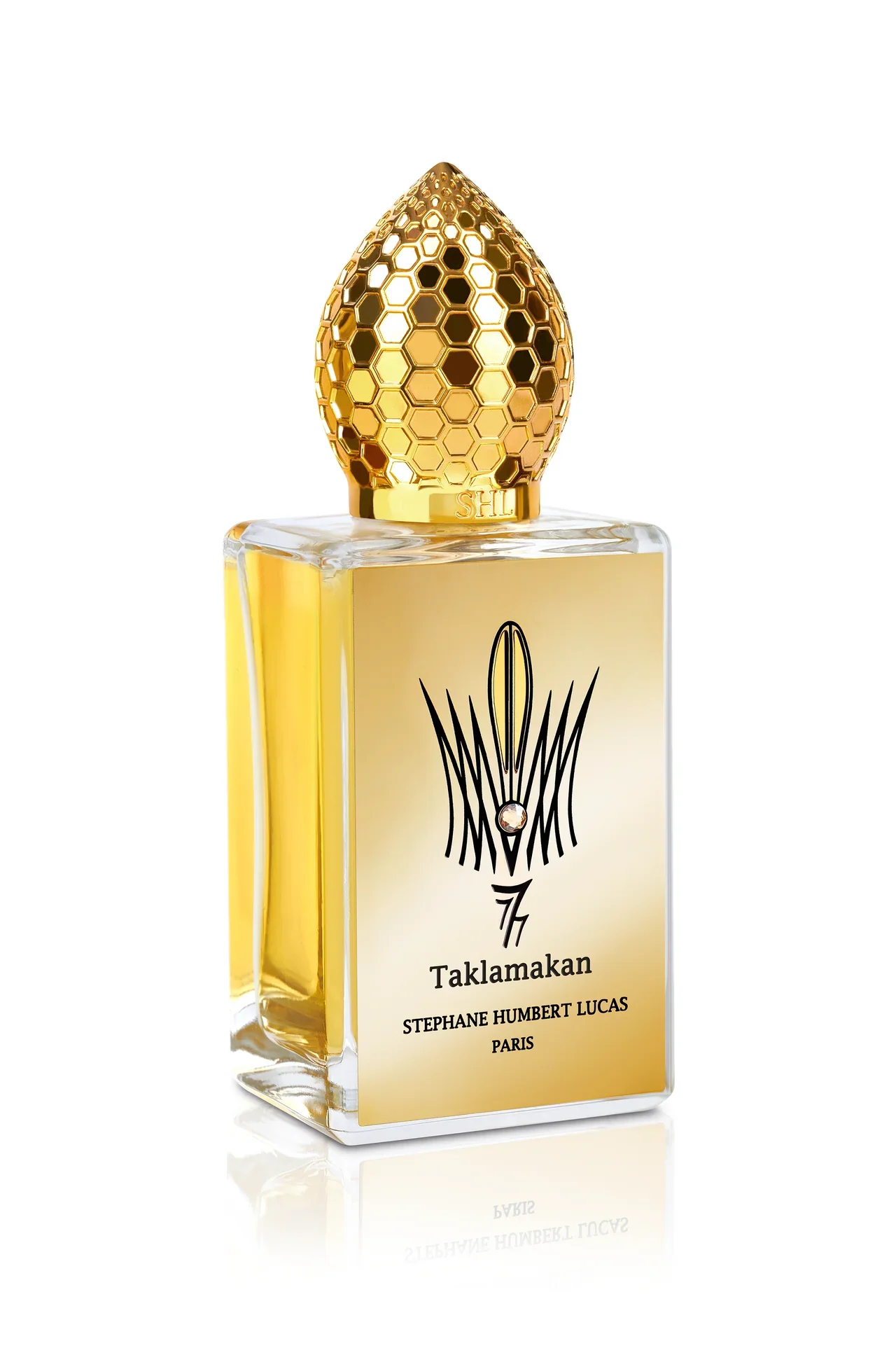 Taklamakan Stéphane Humbert Lucas 777 Sample - Image 3