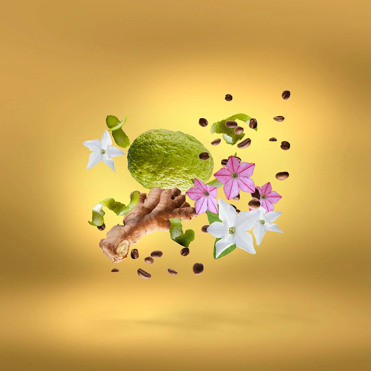 Uden Overdose Shooting Stars Xerjoff Sample 2ml - Image 7